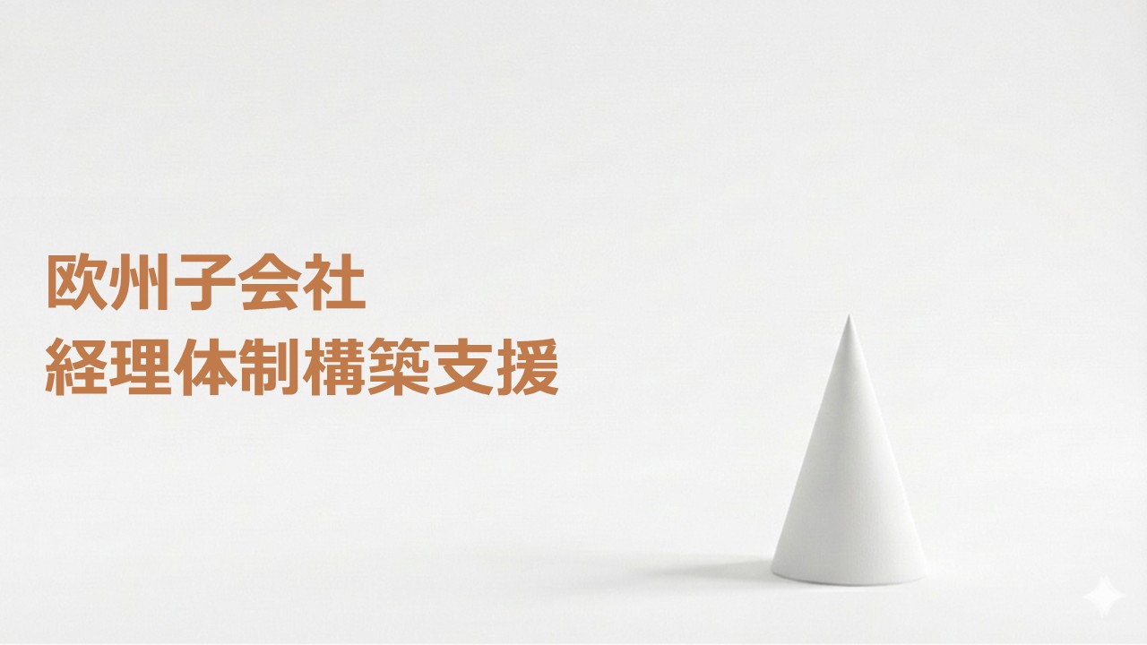 欧州子会社 経理・管理体制構築サービス